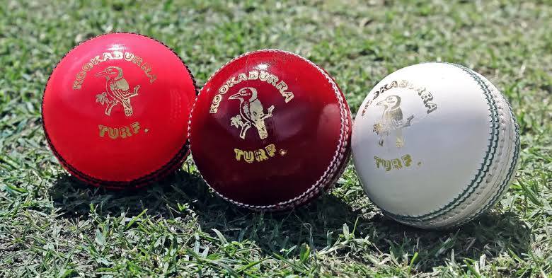 cricket ball weight format