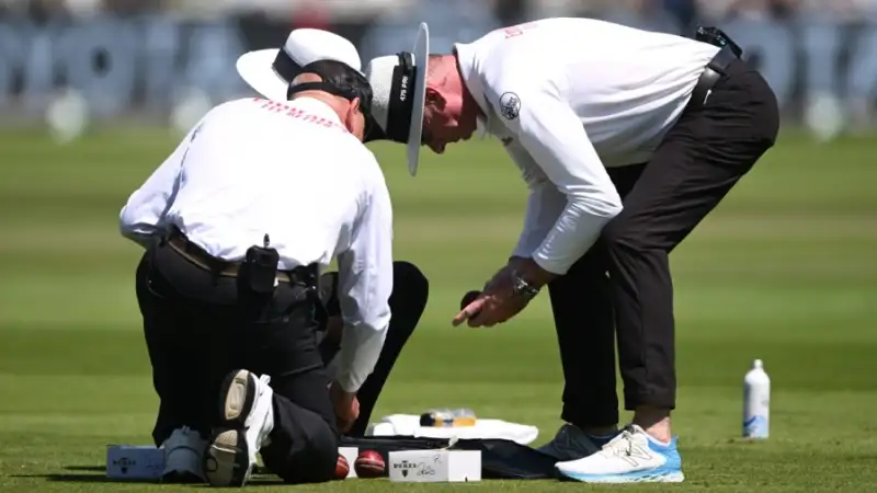 cricket ball is lost