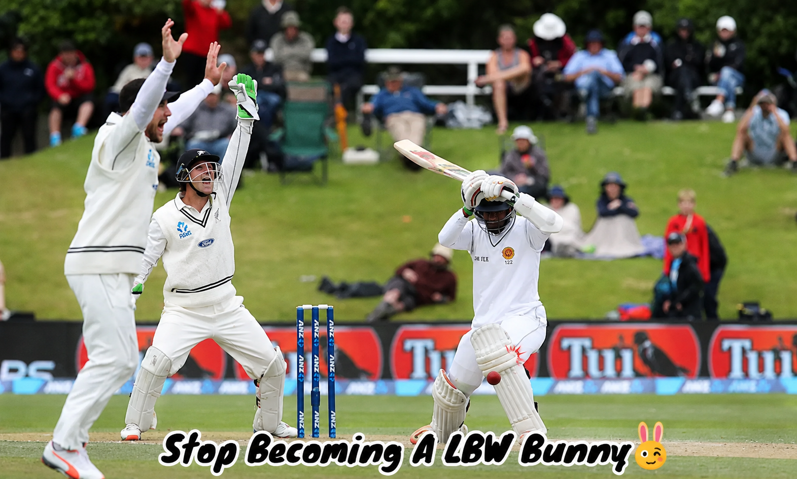 avoid lbw in cricket