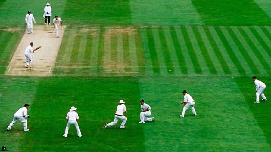 cricket fielding position names (in-field)
