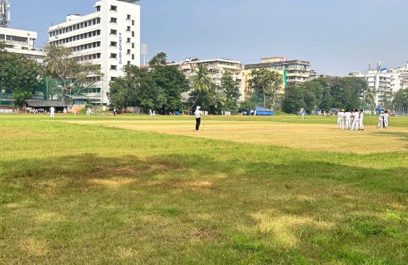 Cricket academy ground