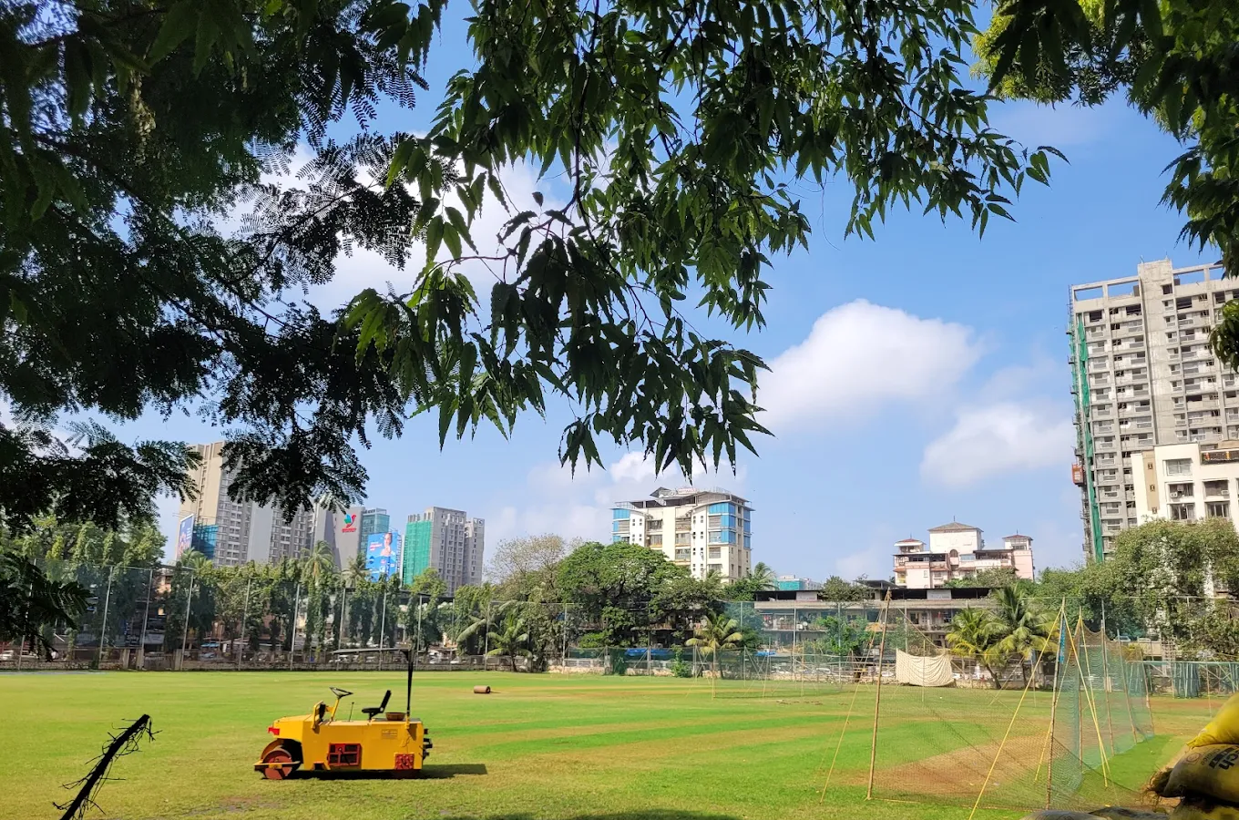 Cricket academy training