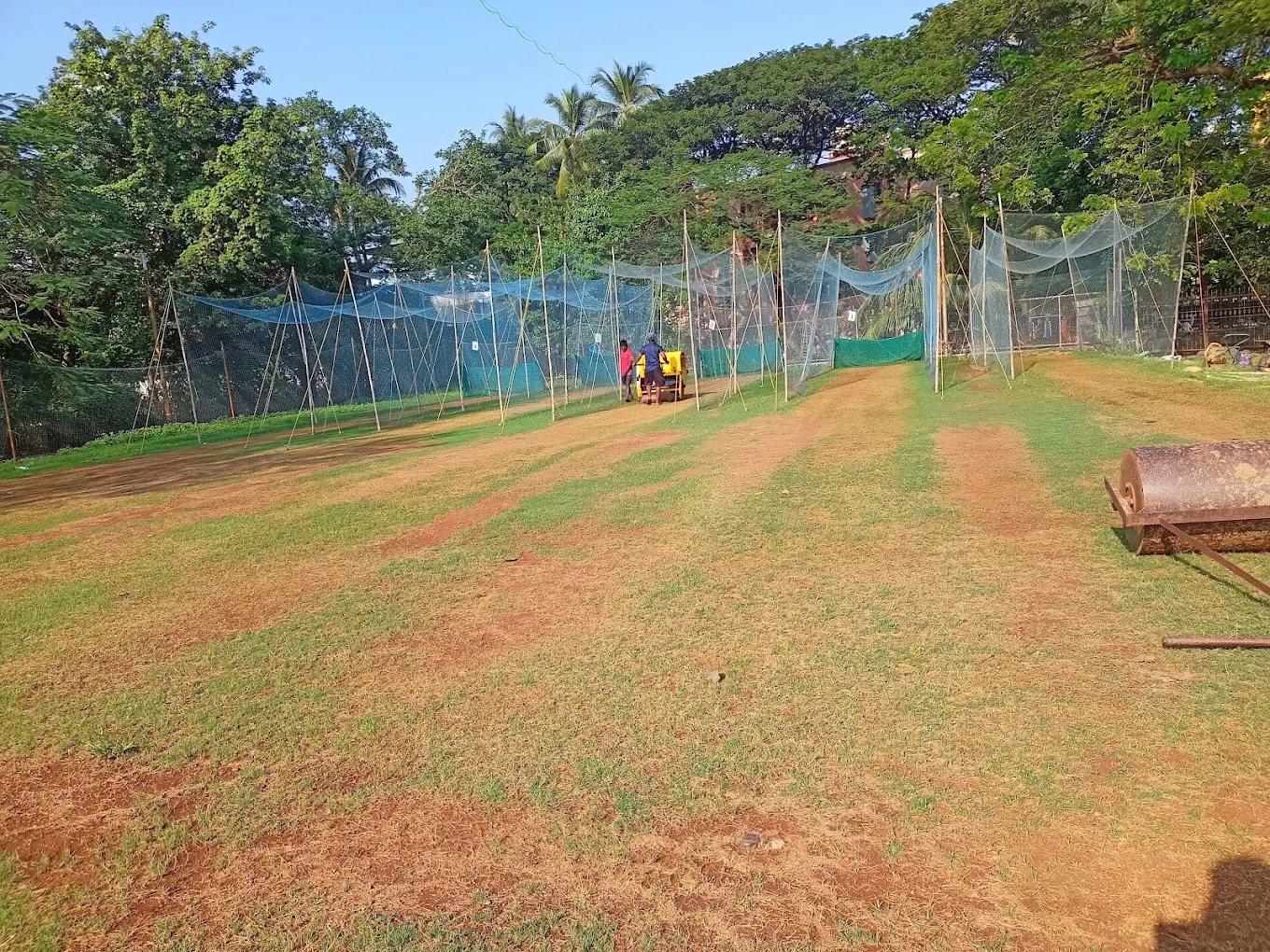 Cricket academy players
